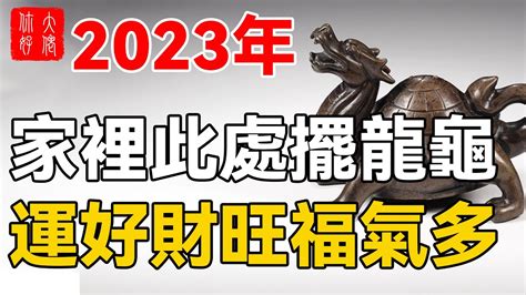 龍龜擺放位置2023|龍龜擺放高度指南：招財、化煞、鎮宅的最佳位置 